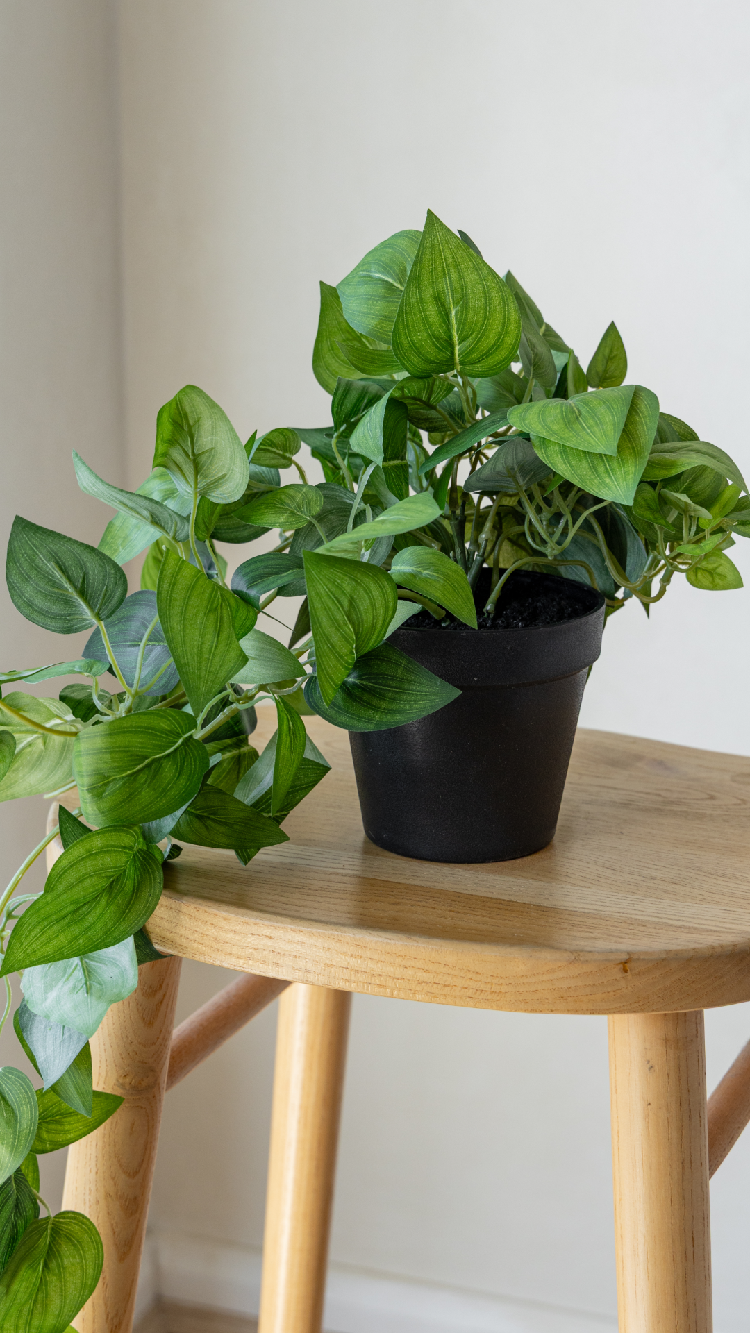 65cm Potted Artificial Pothos
