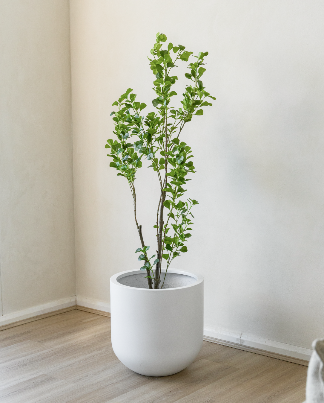 150cm Artificial Banyan Tree