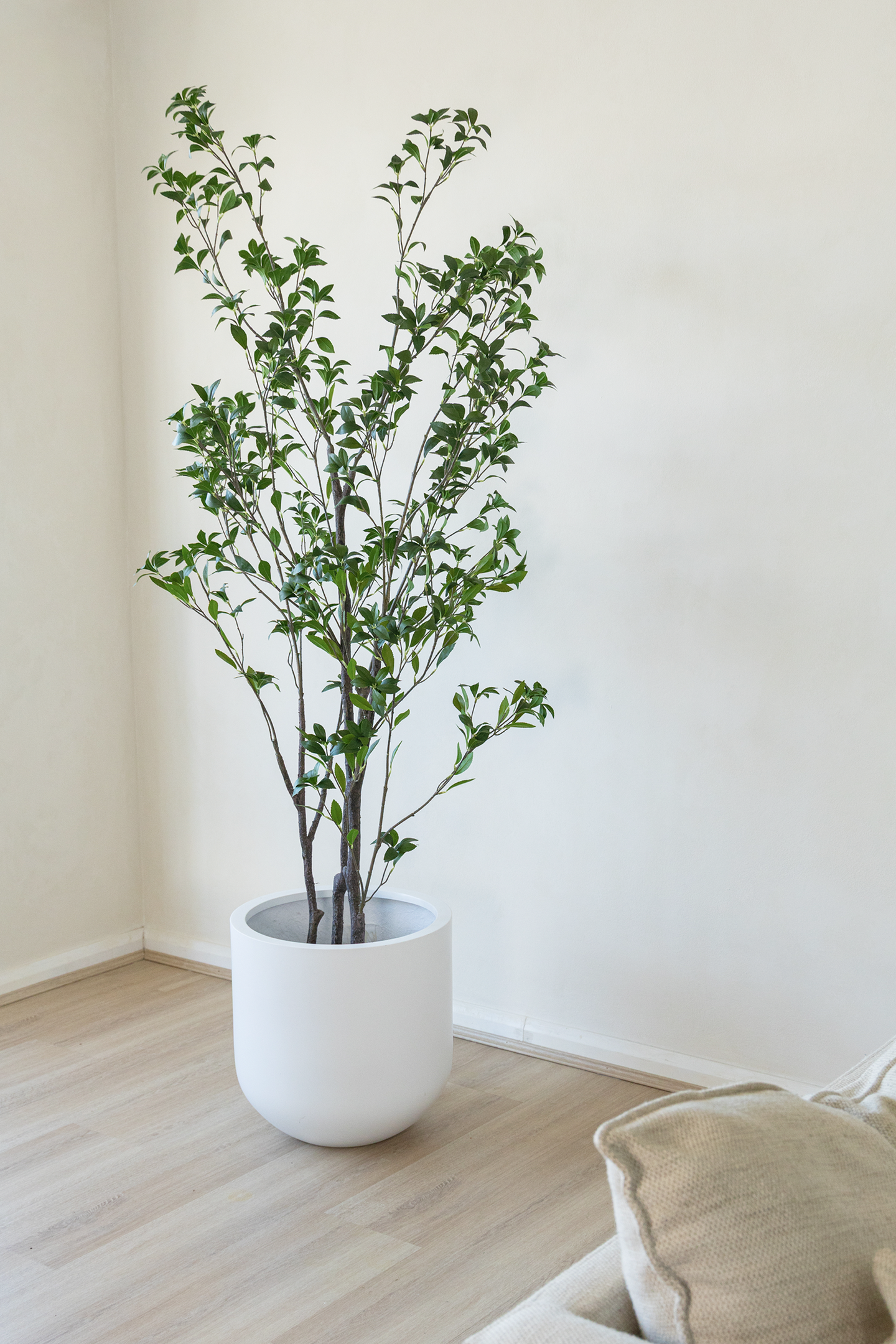 210cm Potted Artificial Japanese Plant