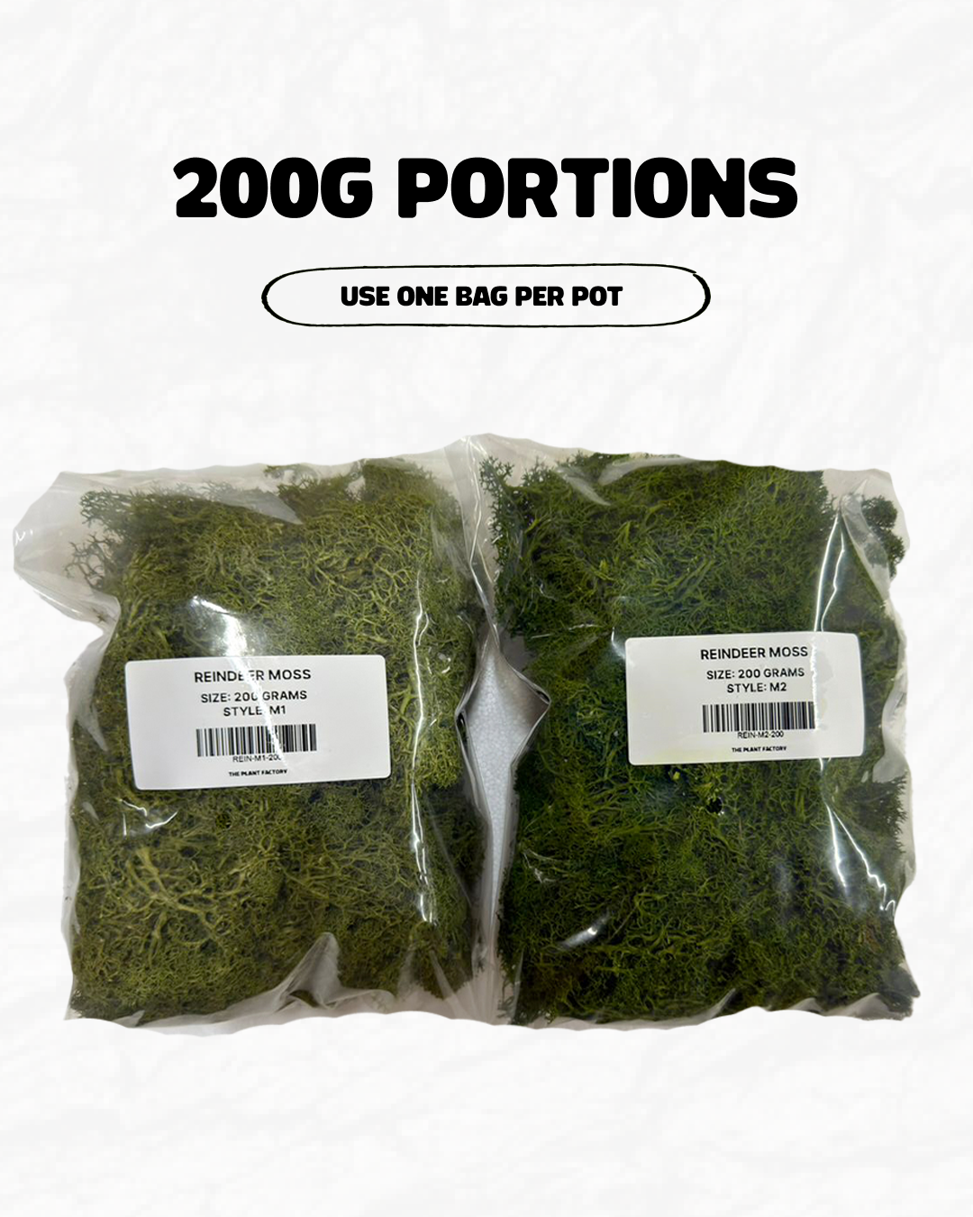 Preserved Moss (200g)