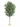 155cm Artificial Olive Tree