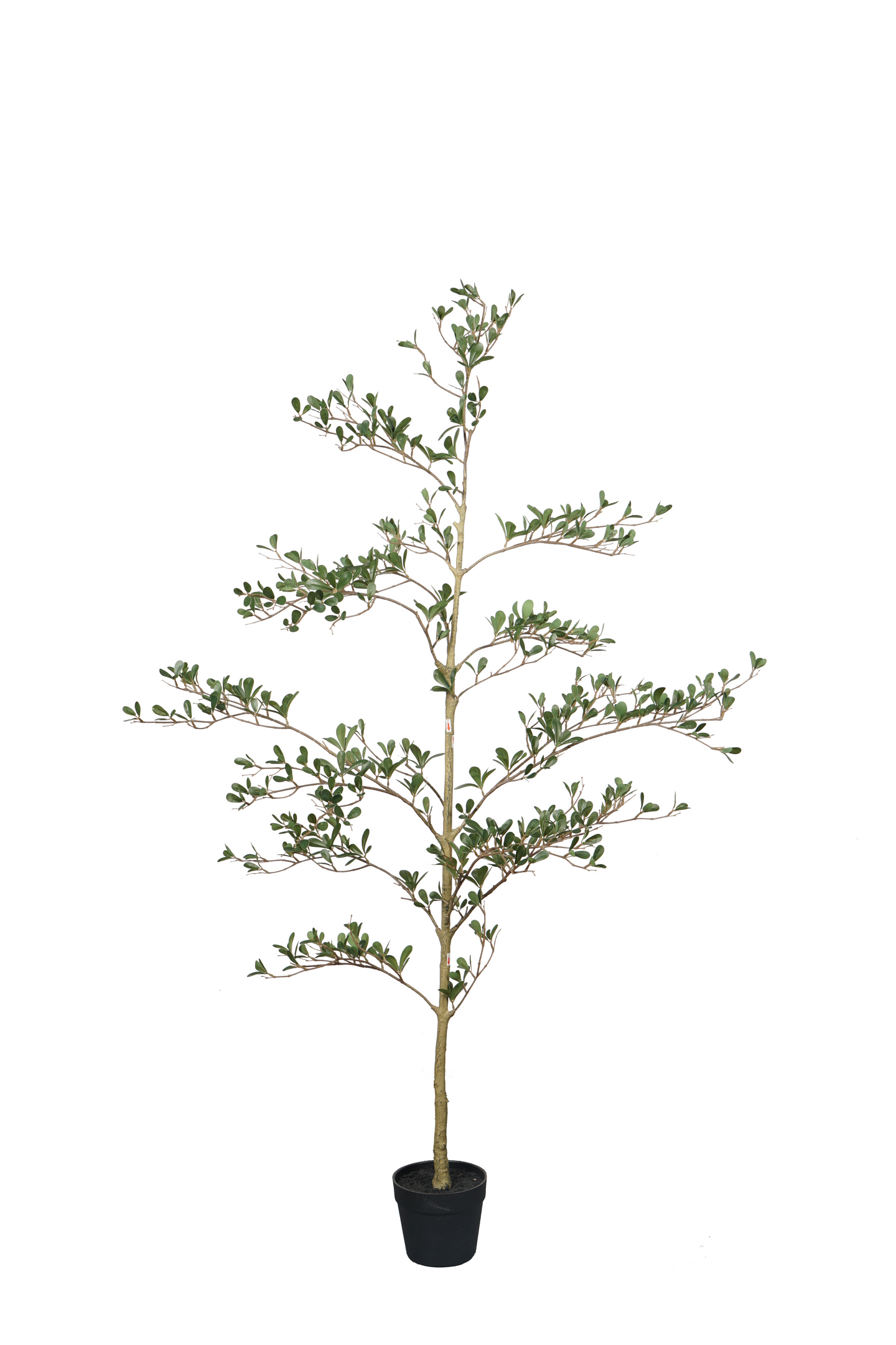 160cm Artificial Olive Tree