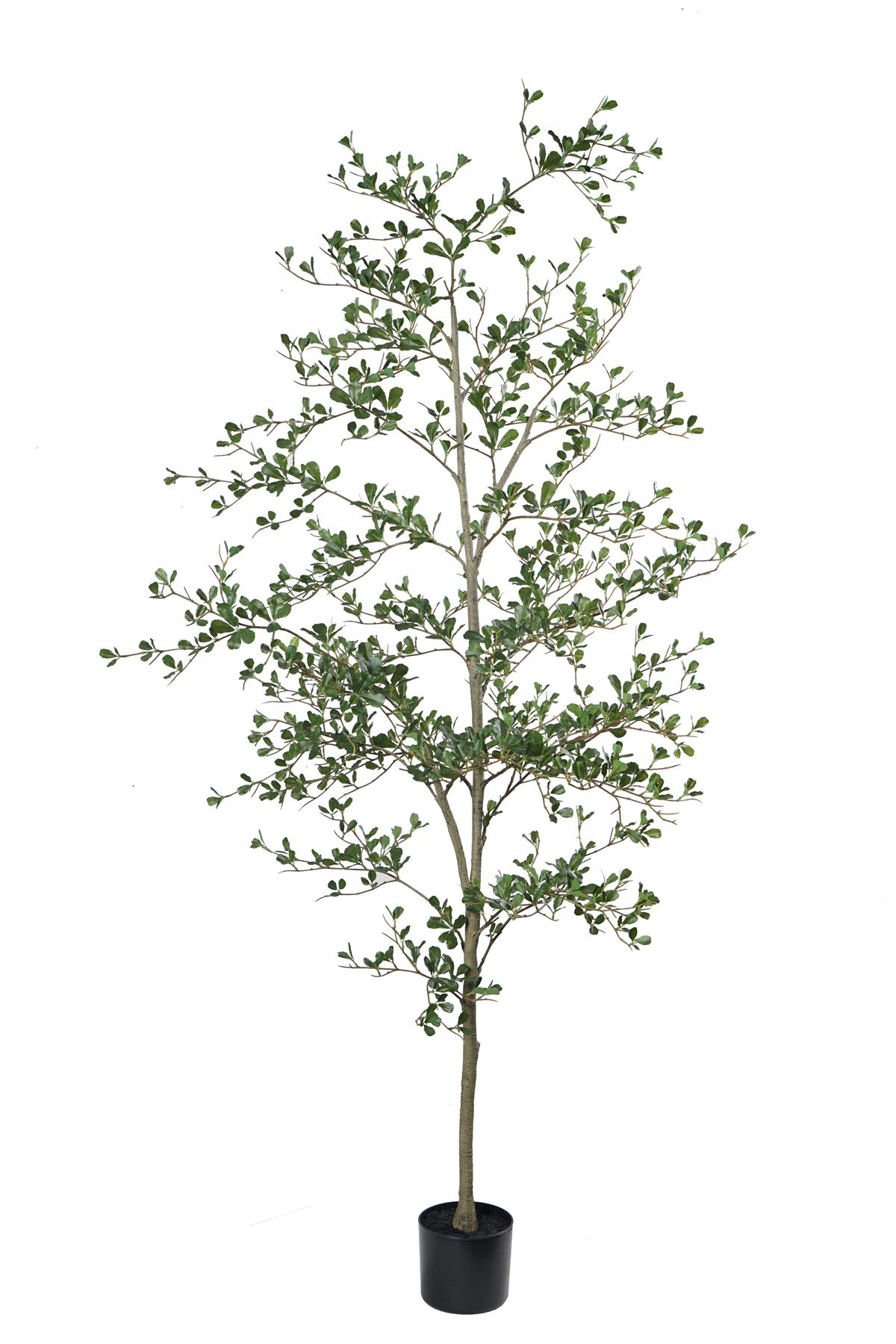 210cm Artificial Olive Tree