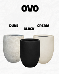Ovo