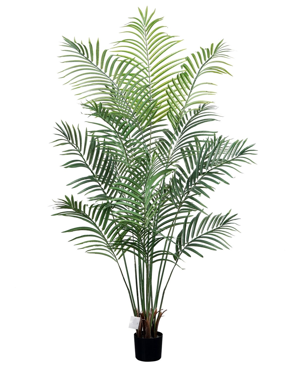 170cm Artificial Palm Tree