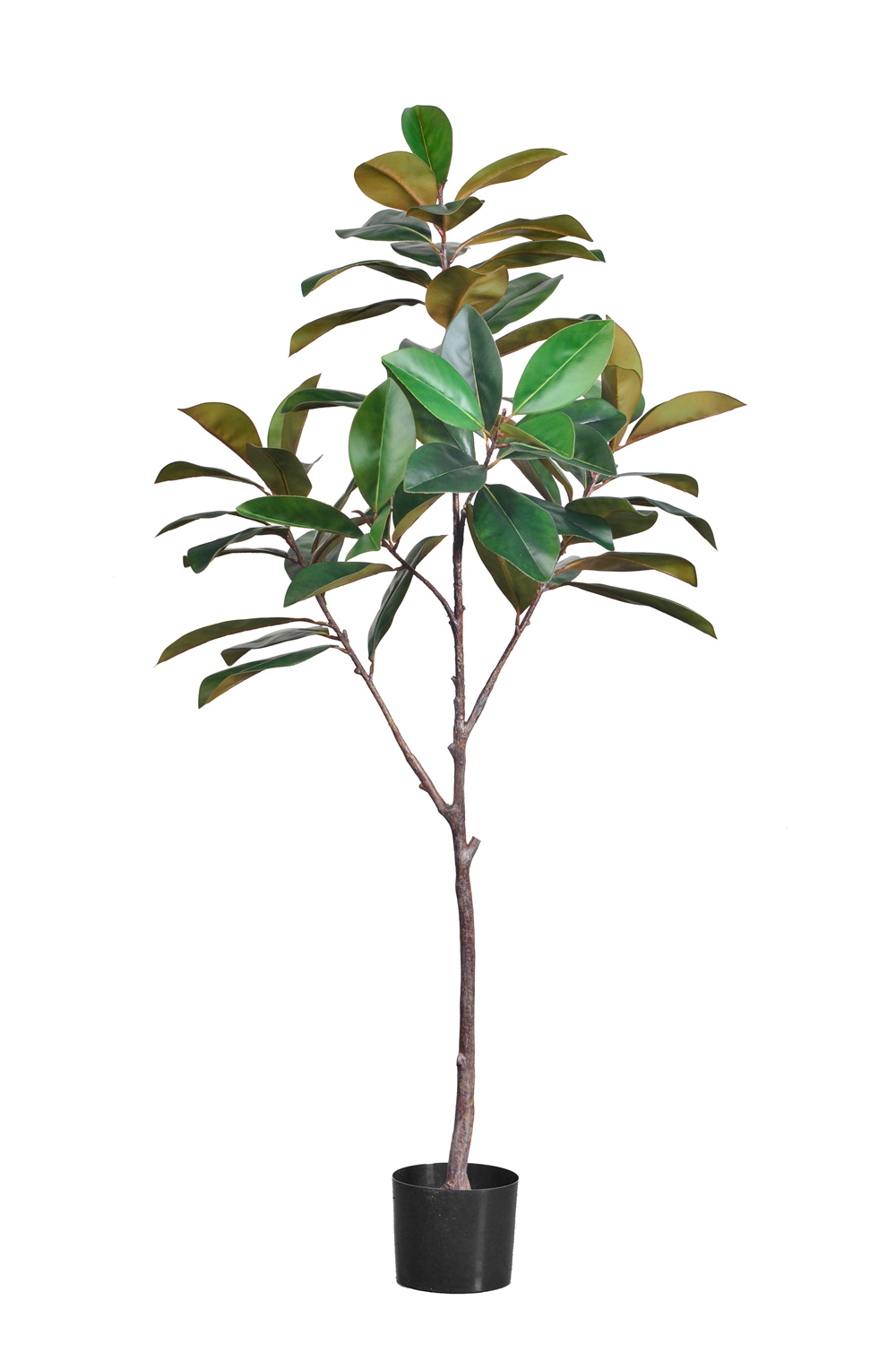 160cm Artificial Rubber Tree