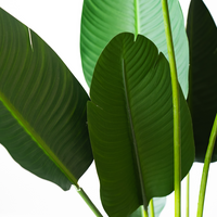 150cm Artificial Strelitzia Nicolai