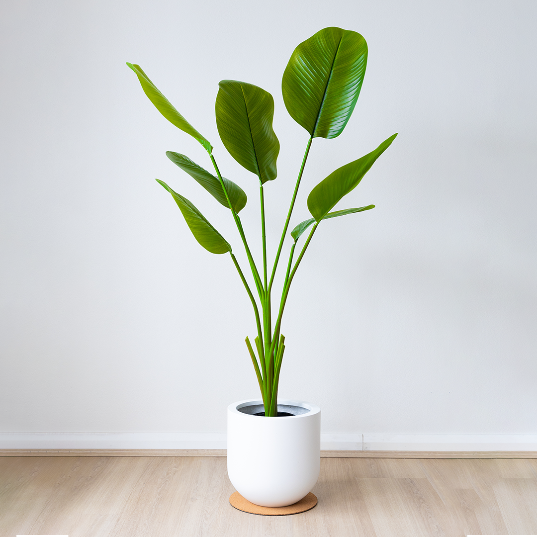 125cm Artificial Strelitzia Nicolai