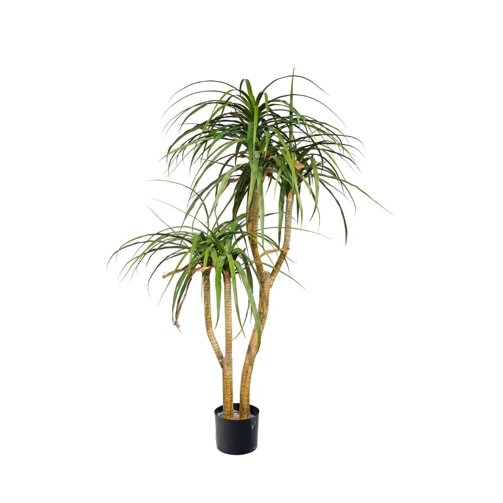 125cm Artificial Yucca