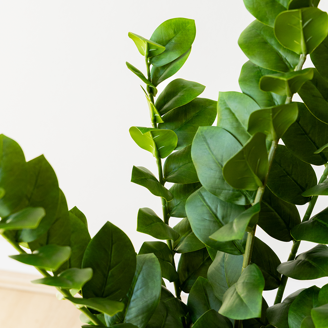 Potted Artificial Zamioculcas
