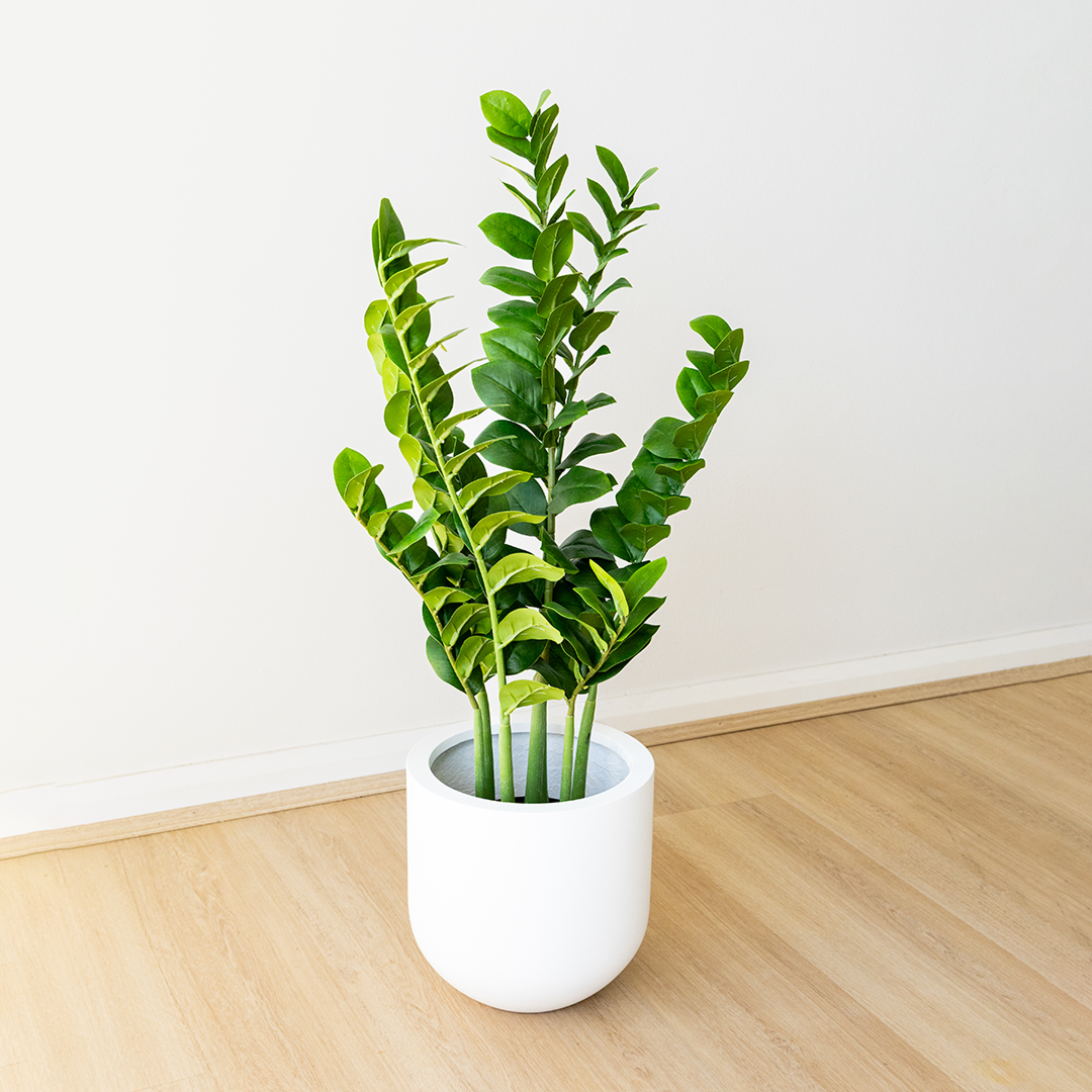 Potted Artificial Zamioculcas