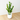 Potted Artificial Zamioculcas