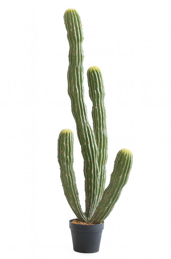 120cm Artificial Cactus