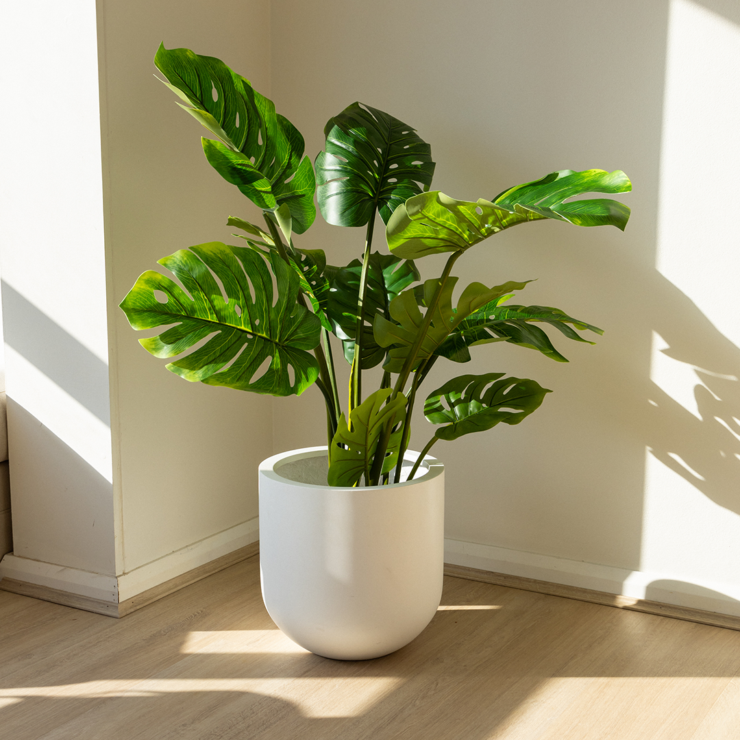 faux monstera plant large Shop Artificial Monstera 90cm & 110cm Size