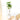 Artificial Fiddle Leaf Fig Trees: A Designer’s Favorite Décor Hack