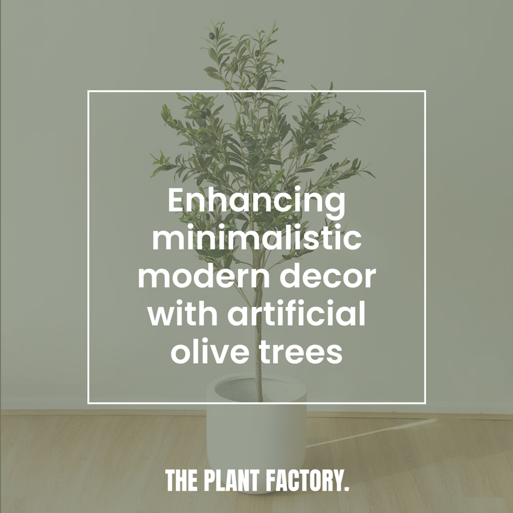 Enhancing Minimalist Modern Decor with Artificial Olive Trees