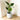Artificial Plants vs. Real Plants: Why Faux Greenery Is the Smart Choice for Home Decor