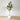 Style Your Space with Lifelike Artificial Olive Trees from The Plant Factory