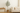 Olive Tree Plant for Sale – What to Know Before You Buy | The Plant Factory