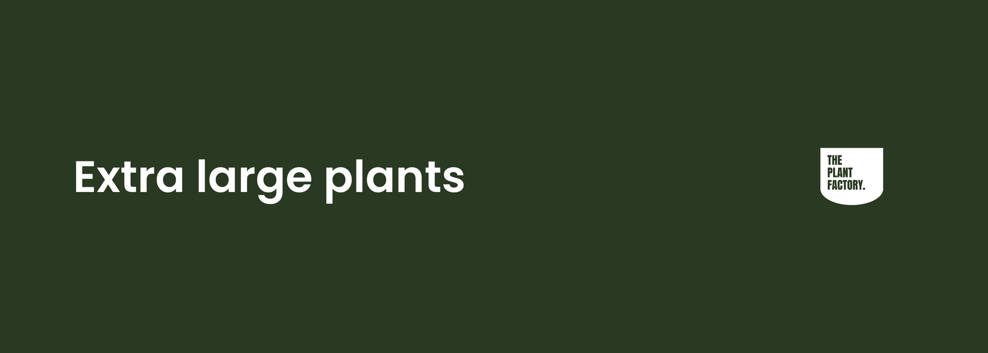 Extra large plants
