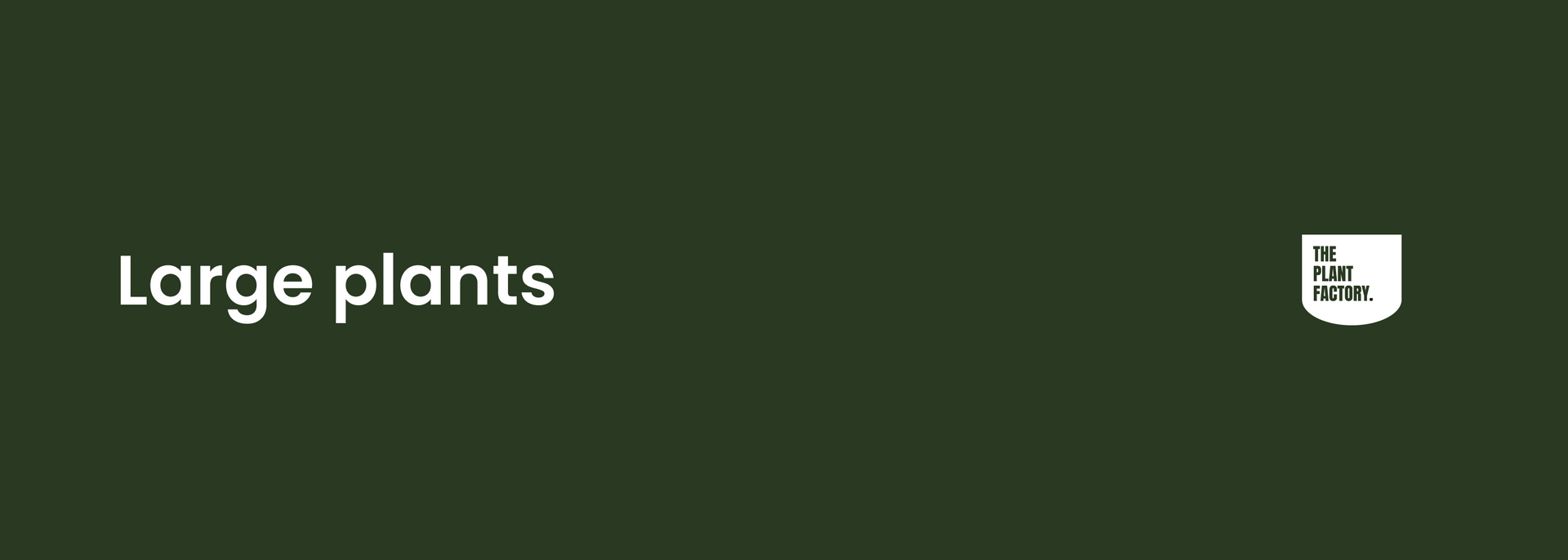 Large Artificial Plants