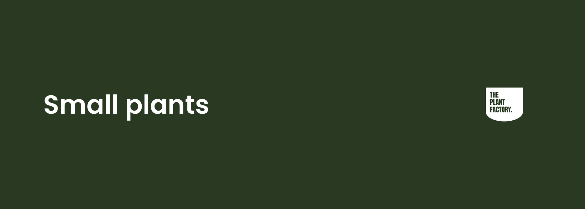 Small artificial plants