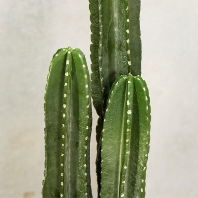 110cm Artificial Cactus