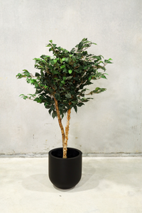 120cm Potted Artificial Ficus Tree