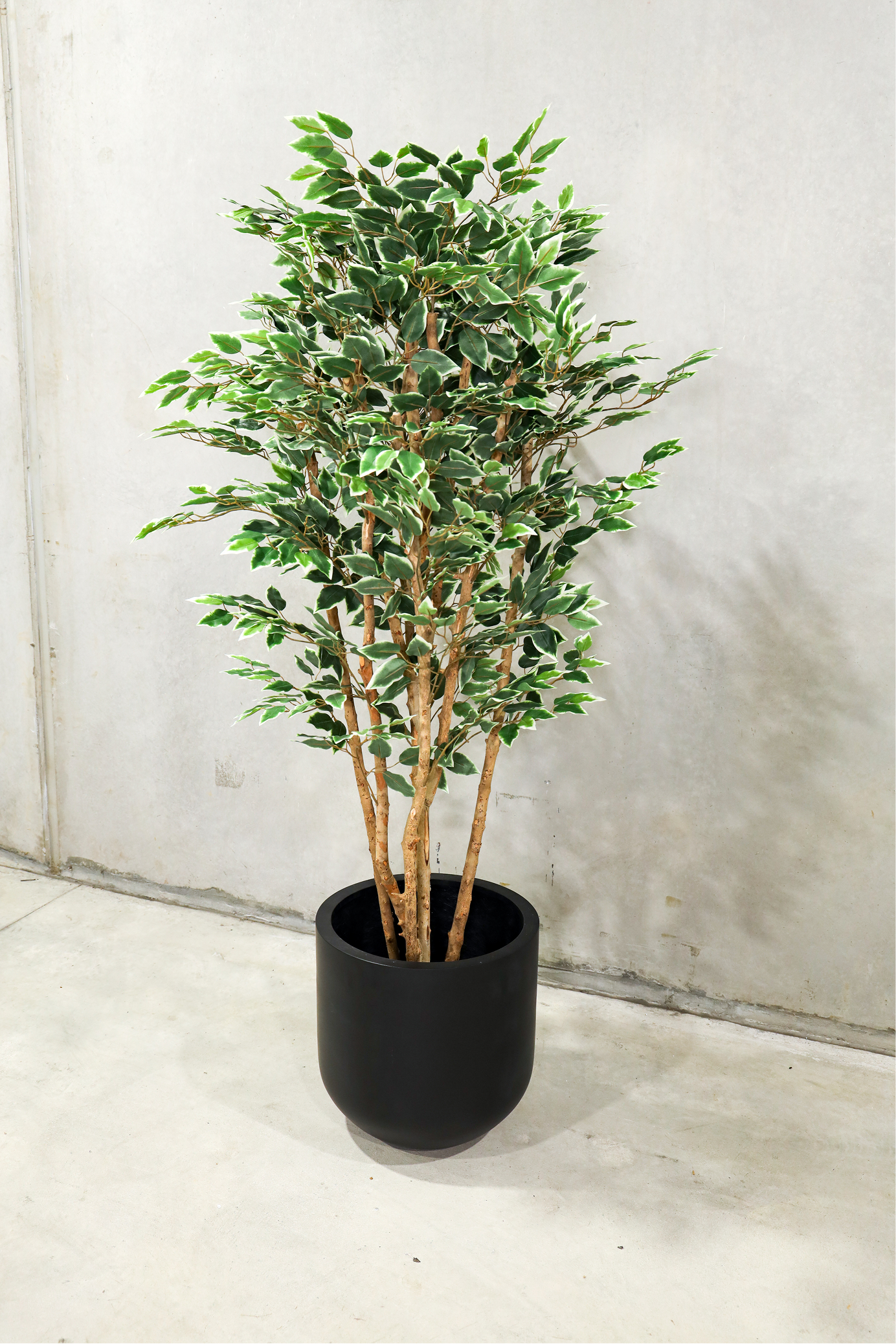 180cm Potted Artificial Ficus Tree