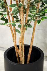 180cm Potted Artificial Ficus Tree
