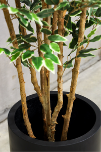 180cm Potted Artificial Ficus Tree