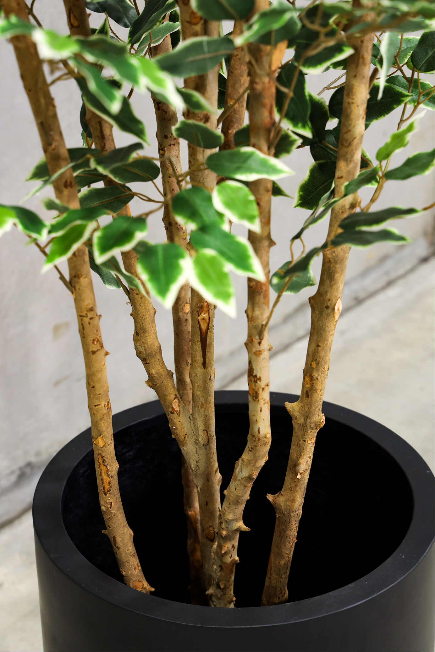 180cm Potted Artificial Ficus Tree