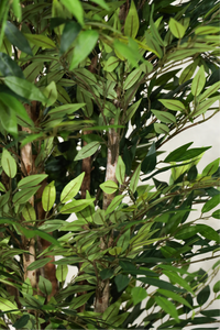 180cm Potted Artificial Smilax Tree