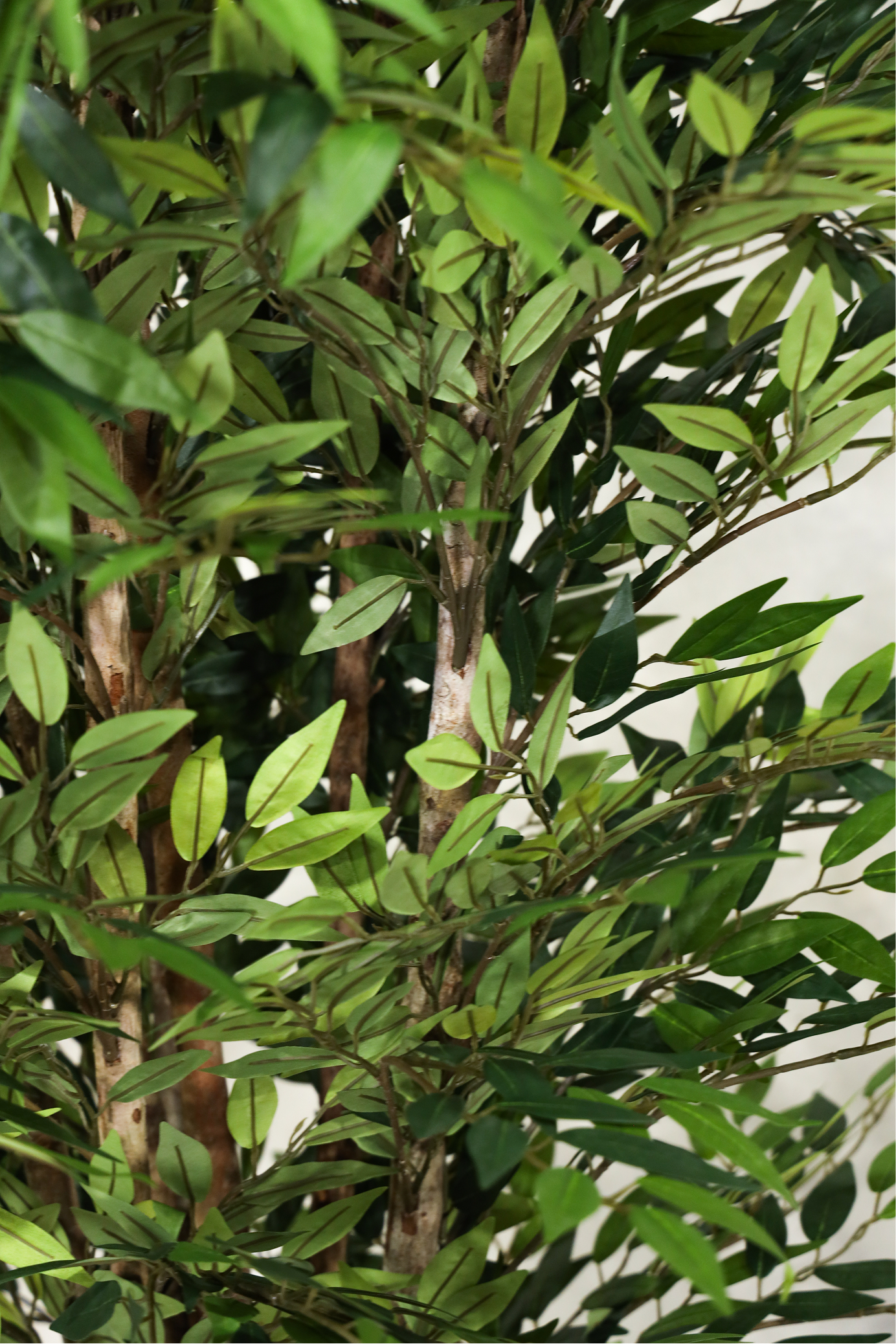 180cm Potted Artificial Smilax Tree