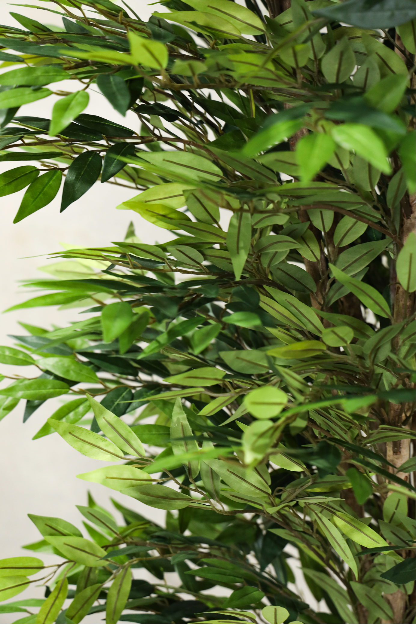 180cm Potted Artificial Smilax Tree