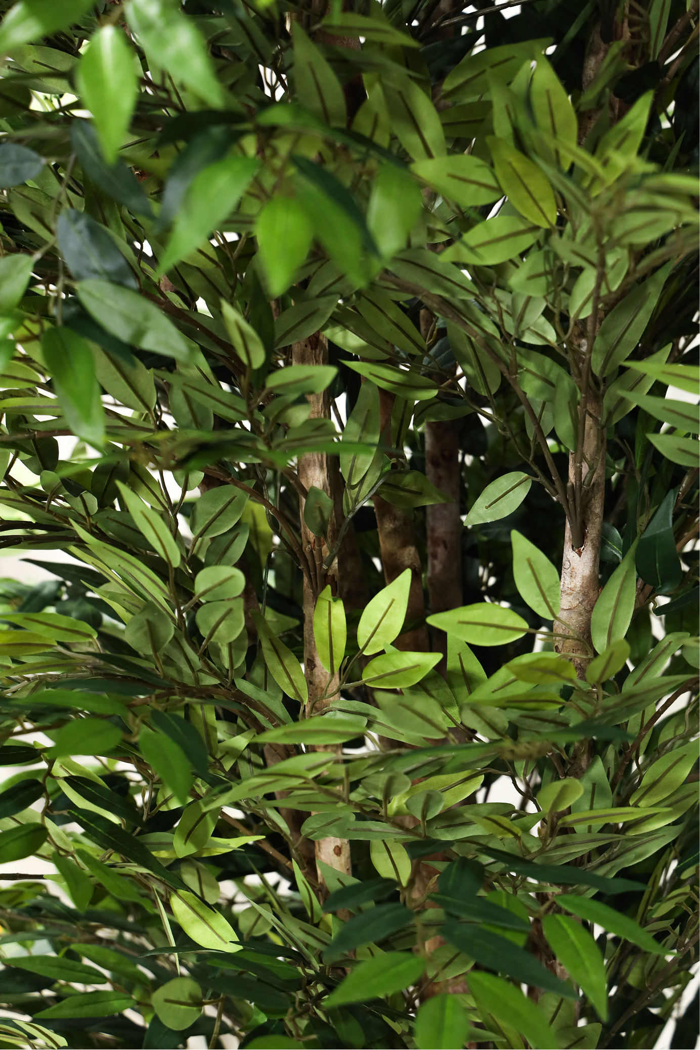 180cm Potted Artificial Smilax Tree