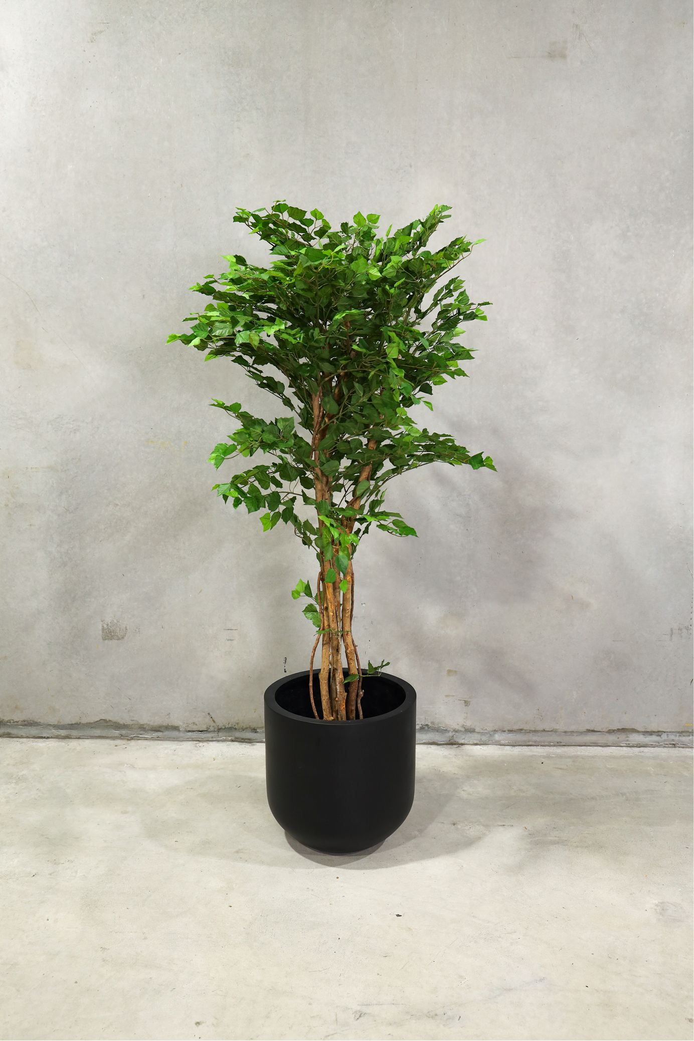 150cm Potted Artificial Birch Tree