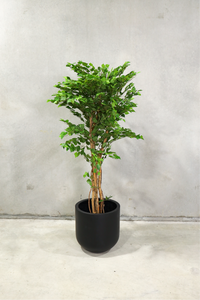 150cm Potted Artificial Birch Tree