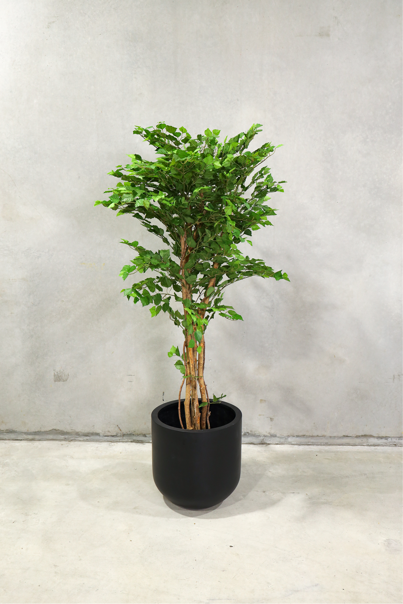 150cm Potted Artificial Birch Tree