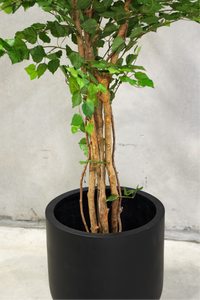 150cm Potted Artificial Birch Tree