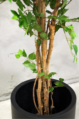 150cm Potted Artificial Birch Tree