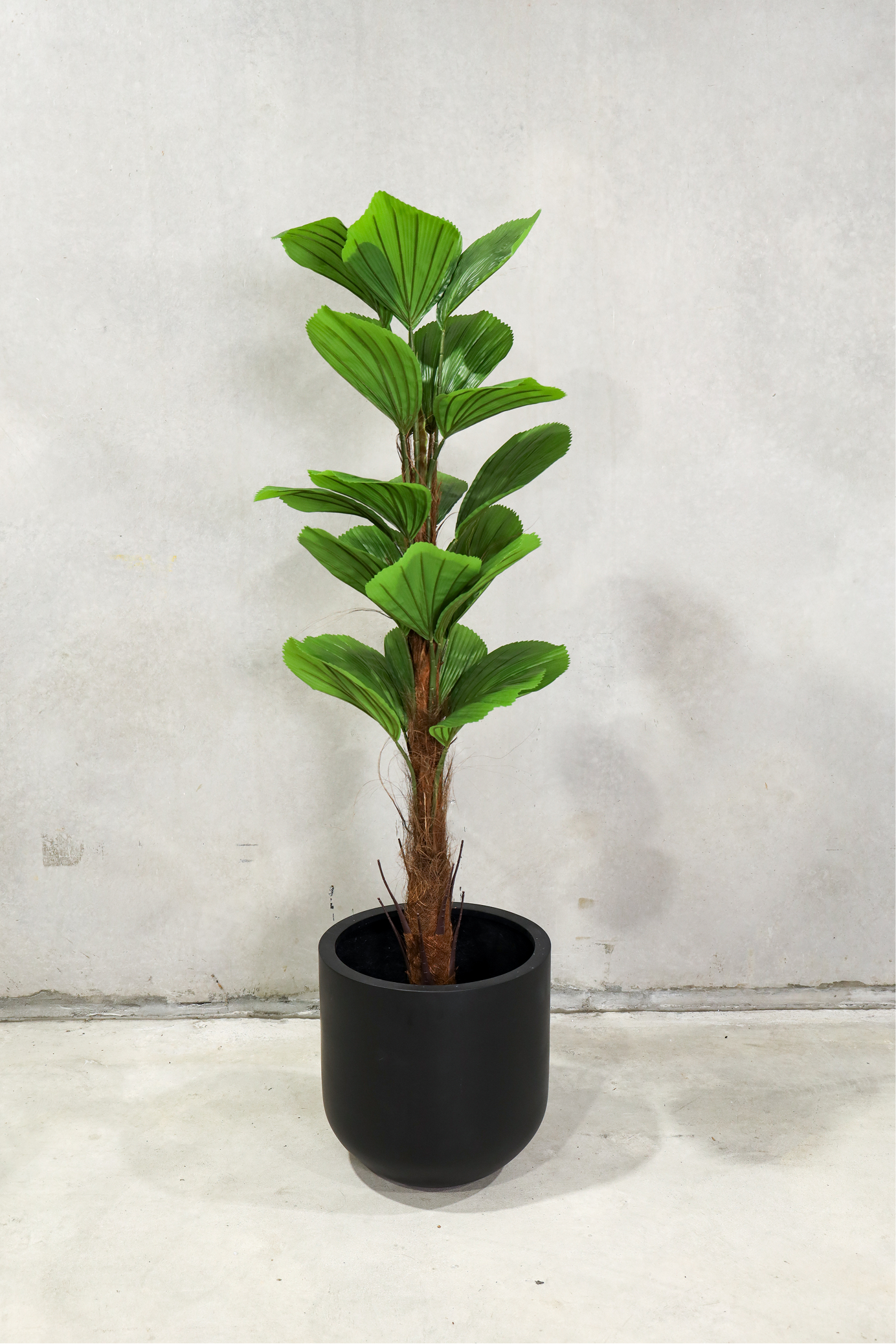 165cm Potted Artificial Palm Tree