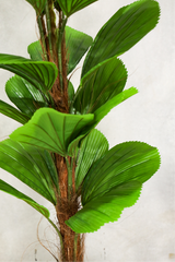 165cm Potted Artificial Palm Tree