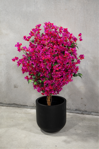 150cm Potted Artificial Bougainvillea