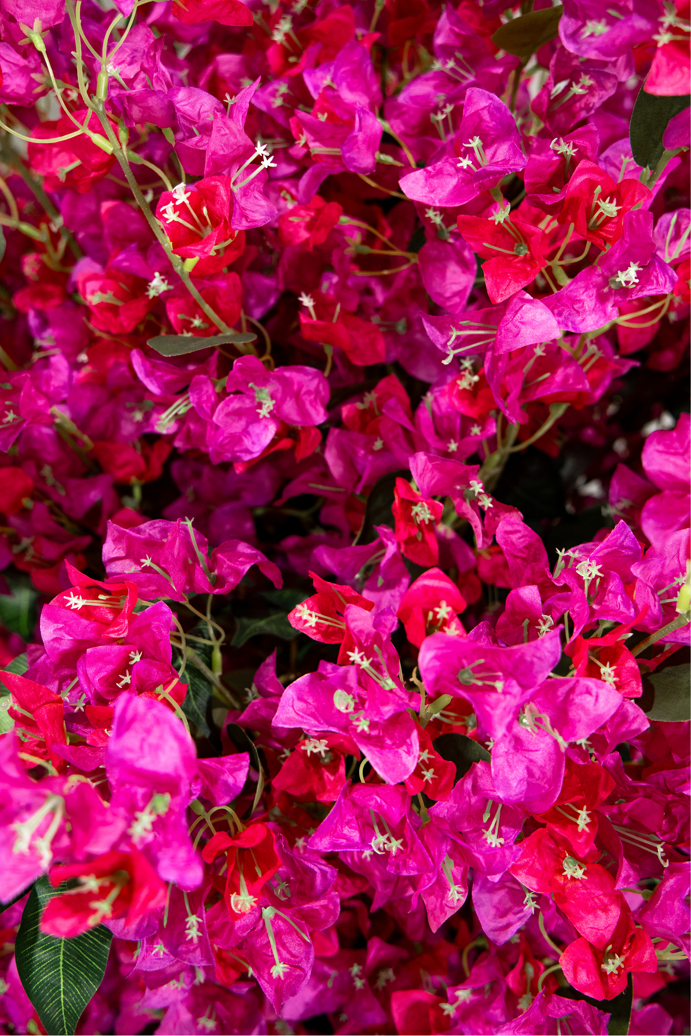 150cm Potted Artificial Bougainvillea