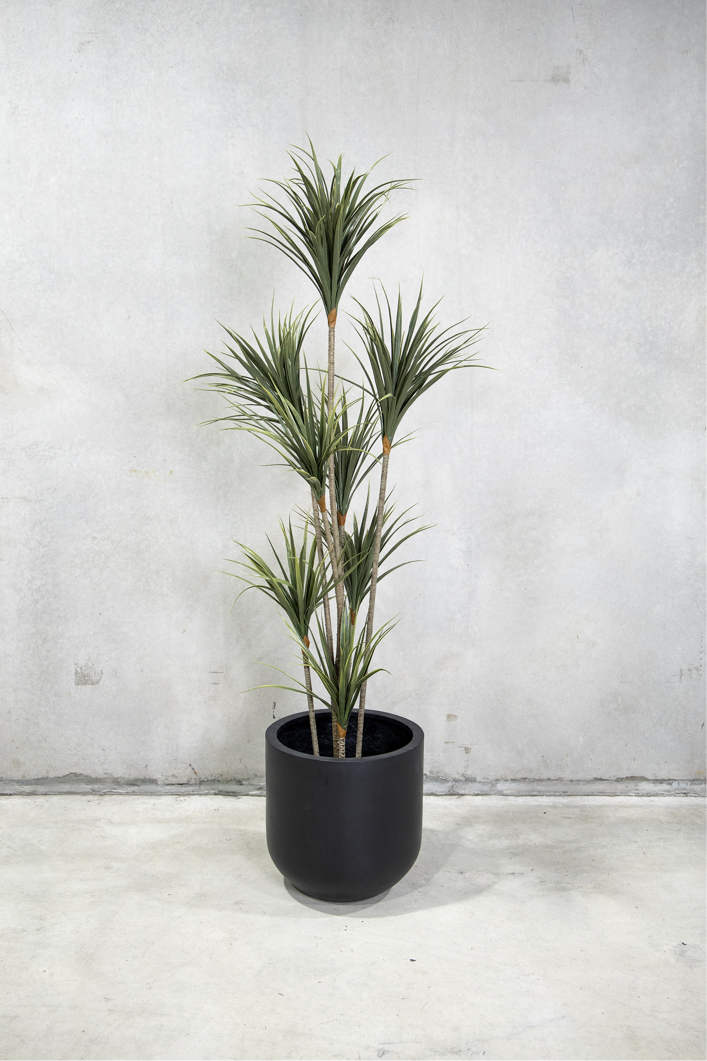 160cm Potted Artificial Dracaena