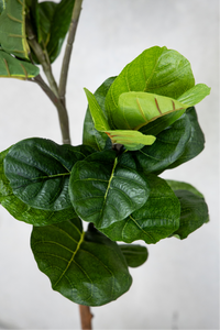 180cm Potted Artificial Fiddle Leaf