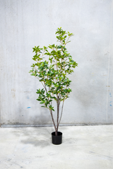 170cm Potted Artificial Japanese Plant