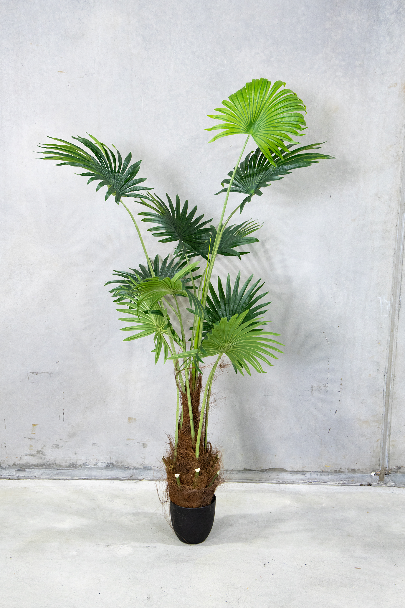 175cm Artificial Fan Palm Tree