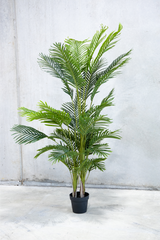 170cm Potted Artificial Palm Tree